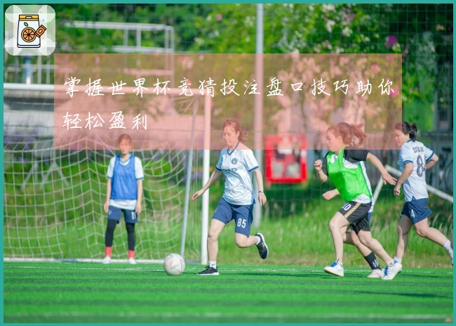 掌握世界杯竞猜投注盘口技巧助你轻松盈利