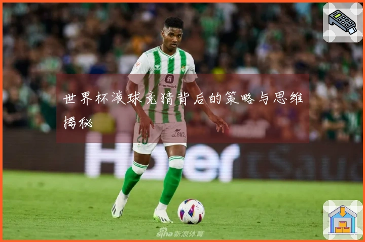 世界杯滚球竞猜背后的策略与思维揭秘