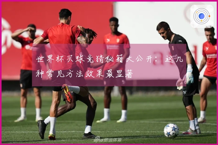 世界杯买球竞猜秘籍大公开：这几种常见方法效果最显著