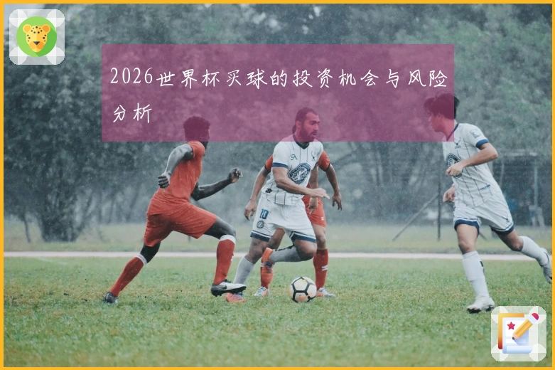 2026世界杯买球的投资机会与风险分析