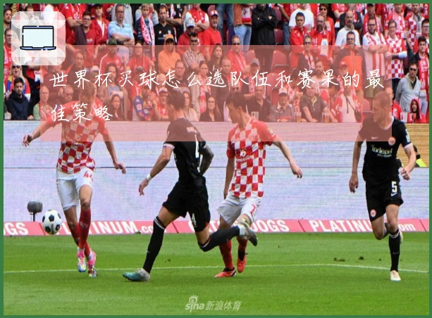 世界杯买球怎么选队伍和赛果的最佳策略