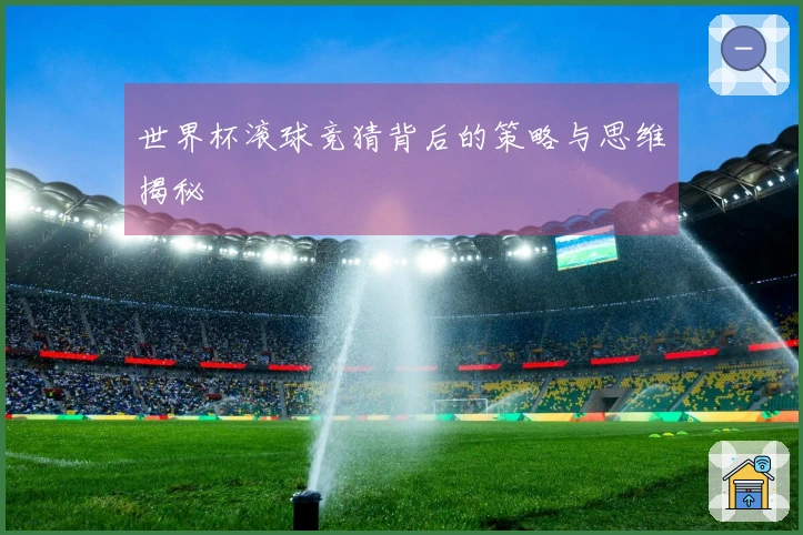 世界杯滚球竞猜背后的策略与思维揭秘