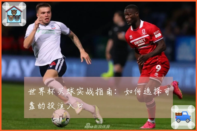 世界杯买球实战指南：如何选择可靠的投注入口