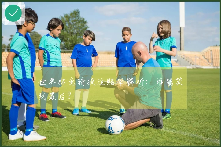 世界杯竞猜投注赔率解析：谁能笑到最后？