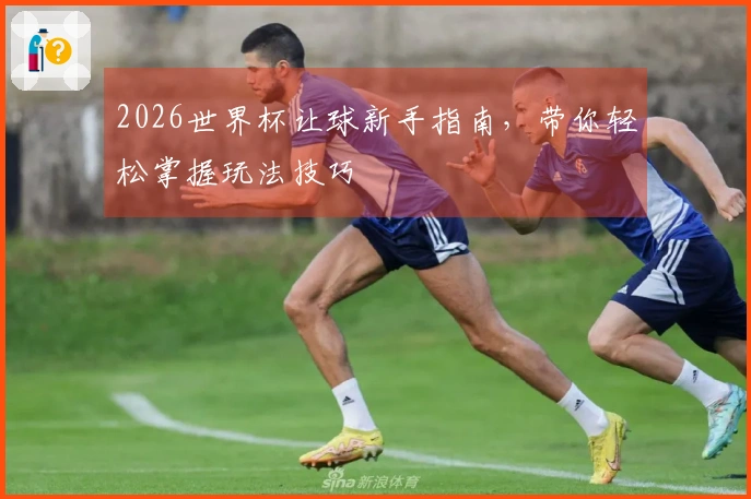 2026世界杯让球新手指南，带你轻松掌握玩法技巧