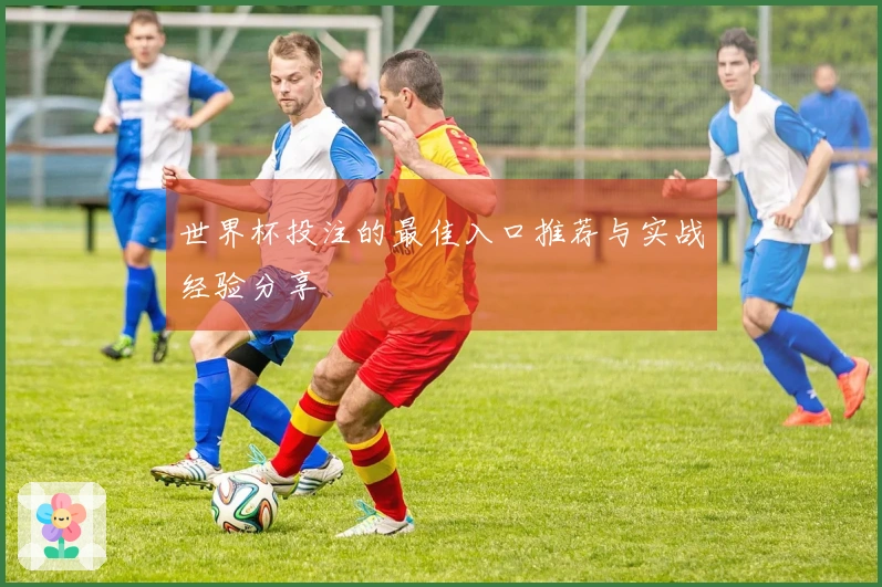 世界杯投注的最佳入口推荐与实战经验分享