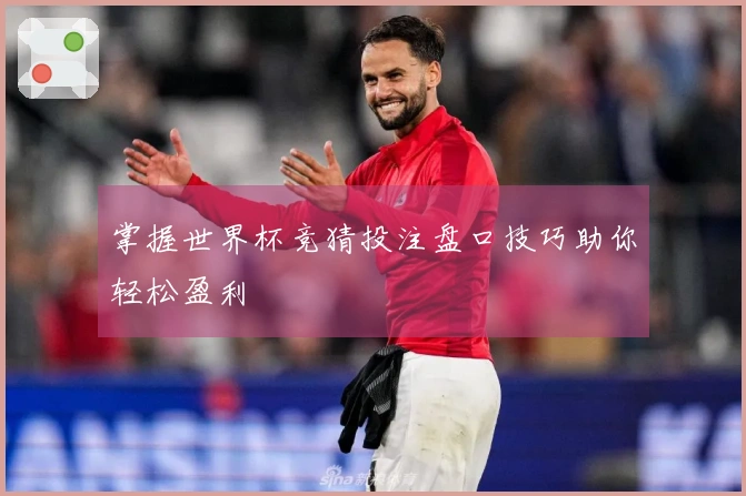 掌握世界杯竞猜投注盘口技巧助你轻松盈利