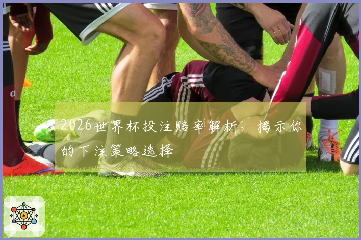 2026世界杯投注赔率解析，揭示你的下注策略选择