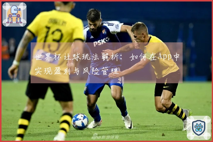 世界杯让球玩法解析：如何在App中实现盈利与风险管理
