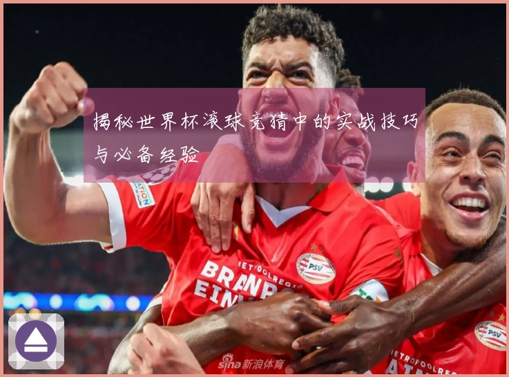 揭秘世界杯滚球竞猜中的实战技巧与必备经验