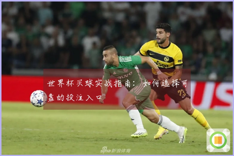 世界杯买球实战指南：如何选择可靠的投注入口